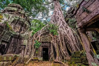 1 week program Syria to Malaysia - Cambodia