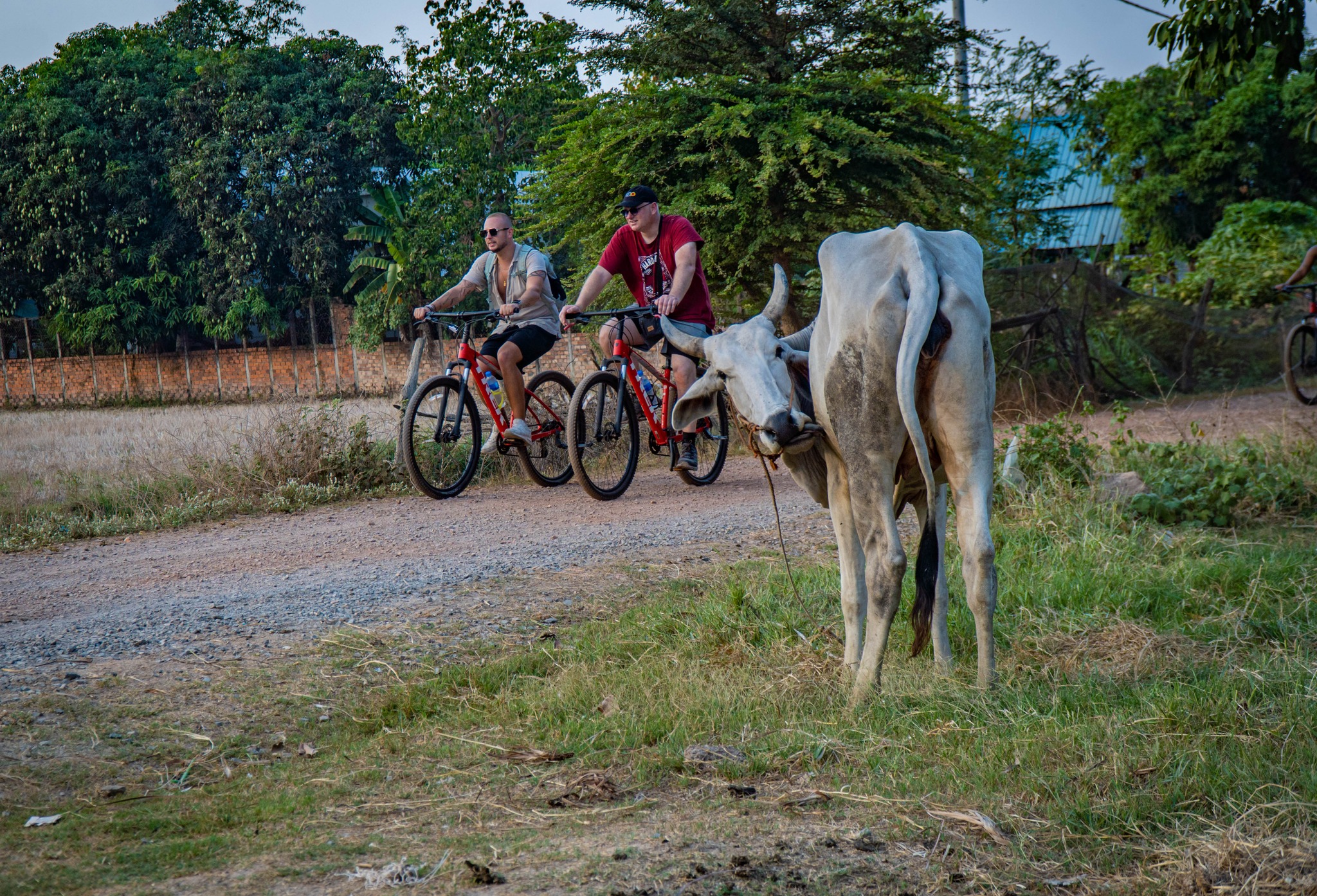 Discover Siem Reap bike tours